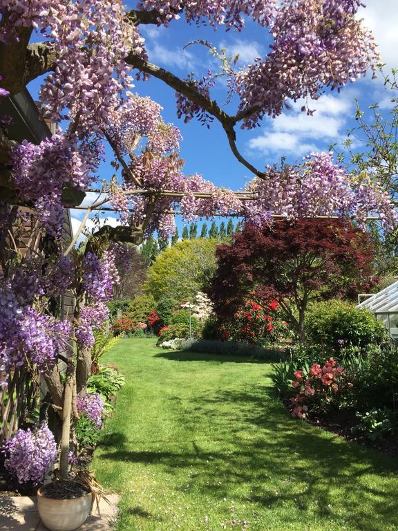 Rhododendron Garden Hotel Christchurch Luaran gambar
