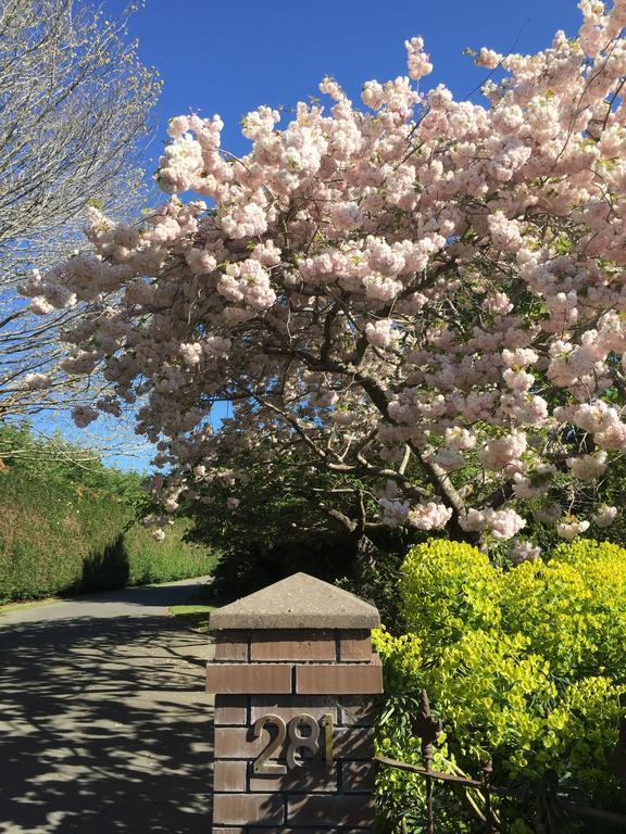 Rhododendron Garden Hotel Christchurch Luaran gambar