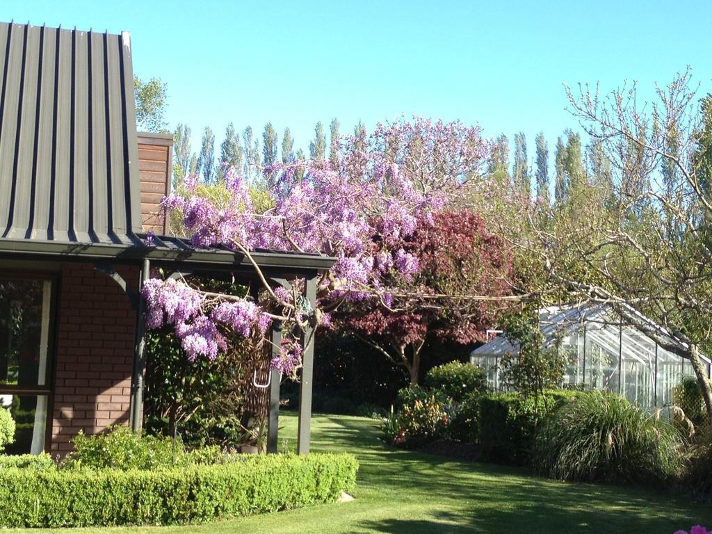 Rhododendron Garden Hotel Christchurch Bilik gambar