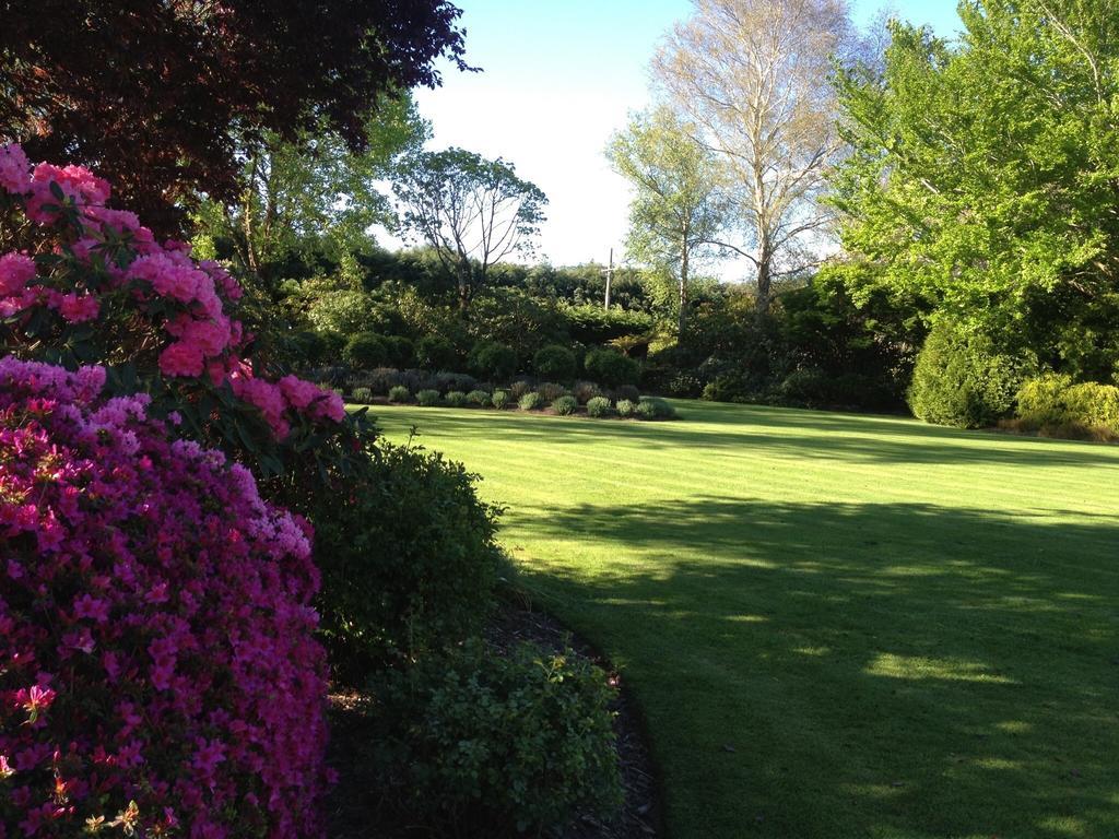 Rhododendron Garden Hotel Christchurch Bilik gambar