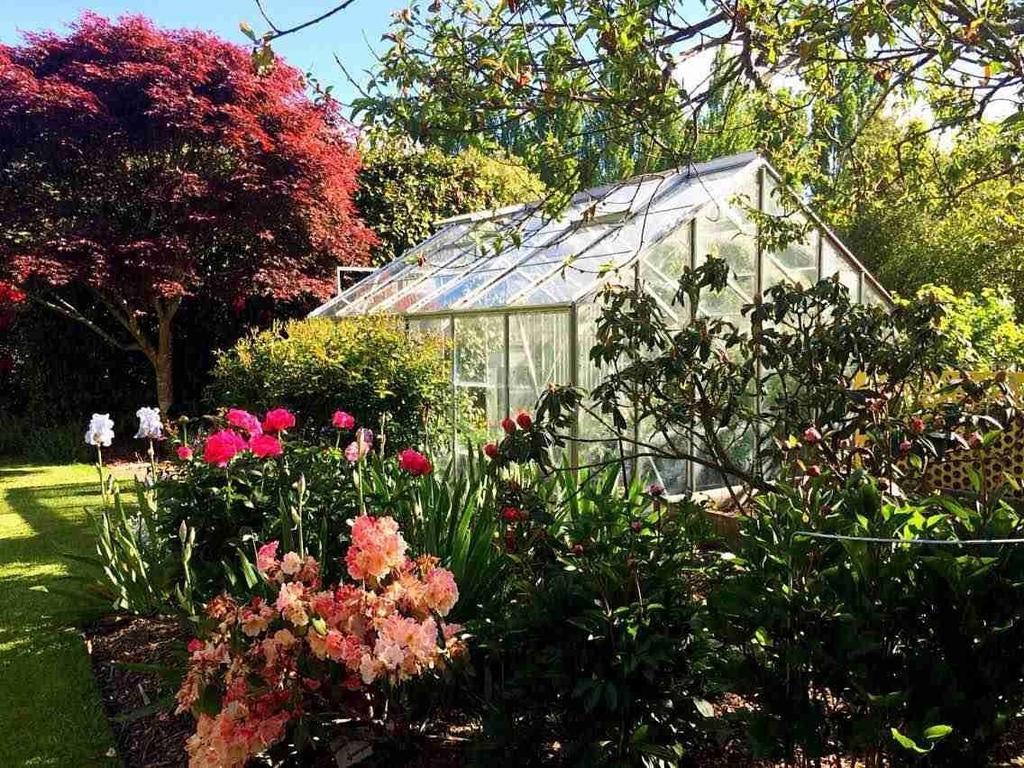 Rhododendron Garden Hotel Christchurch Bilik gambar