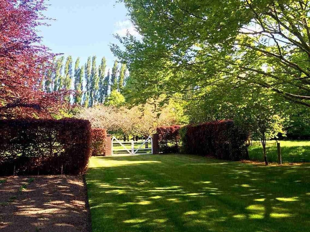 Rhododendron Garden Hotel Christchurch Bilik gambar
