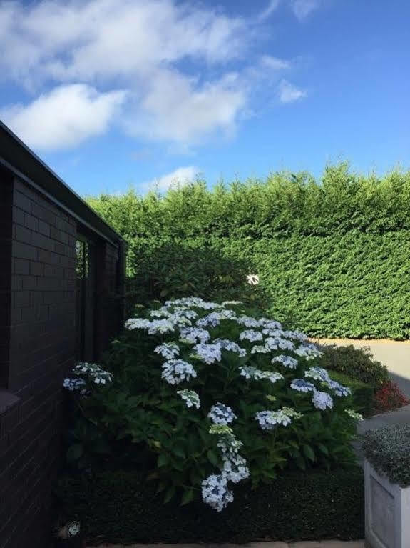 Rhododendron Garden Hotel Christchurch Luaran gambar